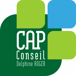 LOGO CAP CONSEIL - RVB